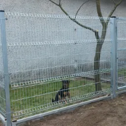 Szary, metalowy płot panelowy z bramką i psem rasy pinczer miniaturowy siedzącym wewnątrz ogrodzonego terenu, na tle otynkowanego budynku i małego drzewa.