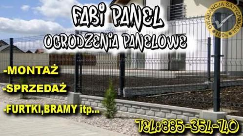 Fabi Panel Konrad Majcherek - Bramy Drzewica