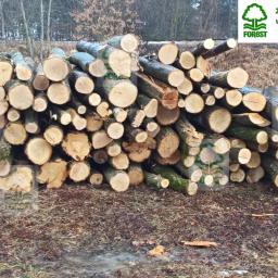 Ogrodnik Tułowice 2