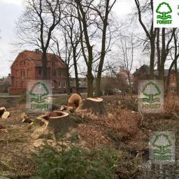 Ogrodnik Tułowice 3