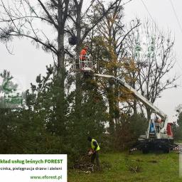 Ogrodnik Tułowice 4