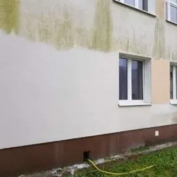 Fragment elewacji budynku przed i po czyszczeniu, widoczne zacieki i porosty na górnej części ściany, w dolnej części wąż doprowadzający wodę do myjki ciśnieniowej.