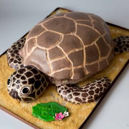 Tort 3D w kształcie żółwia morskiego