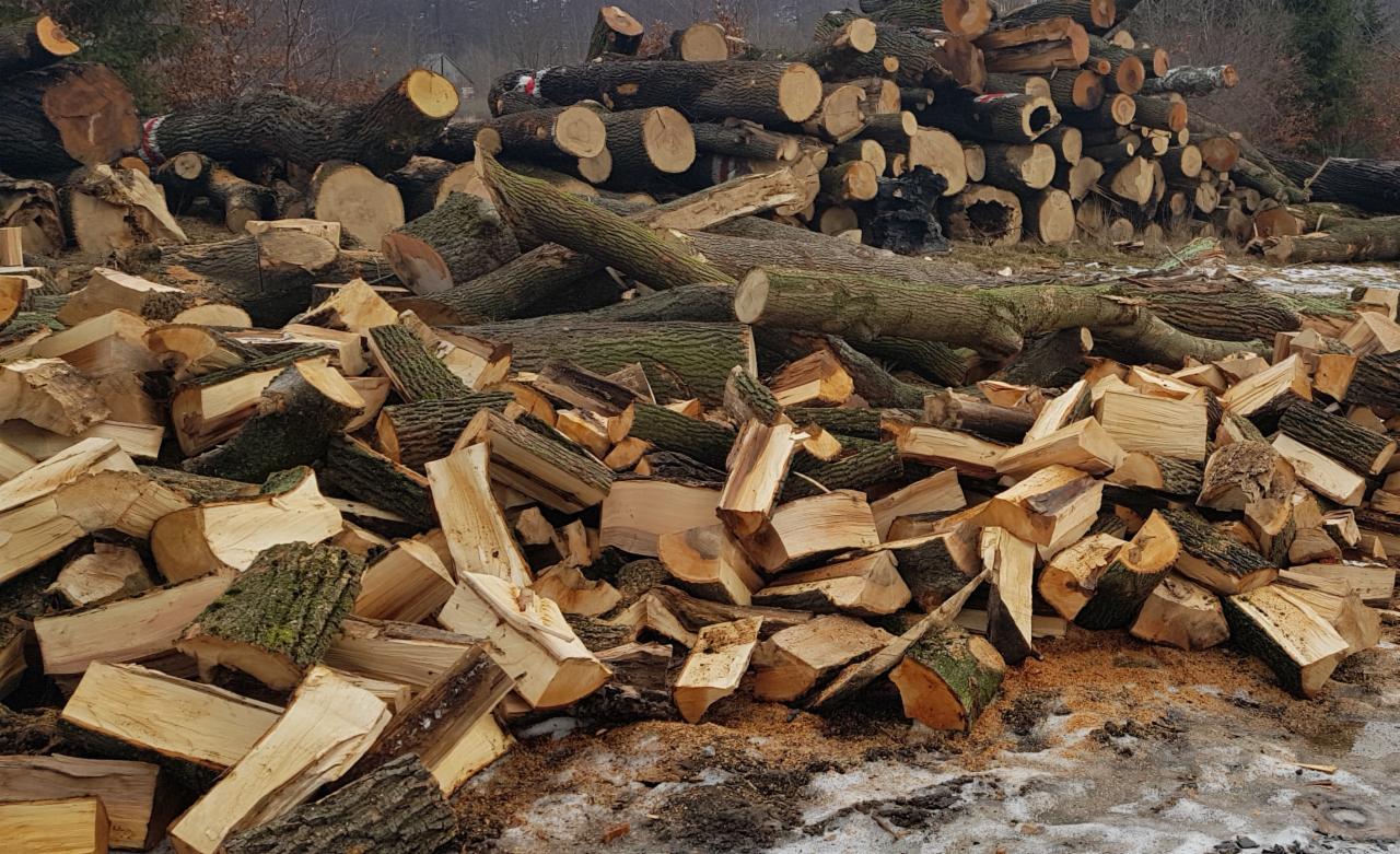 Stos pociętych klocków z korą i większych, okrągłych bali ułożonych w pryzmę na ziemi z resztkami śniegu.