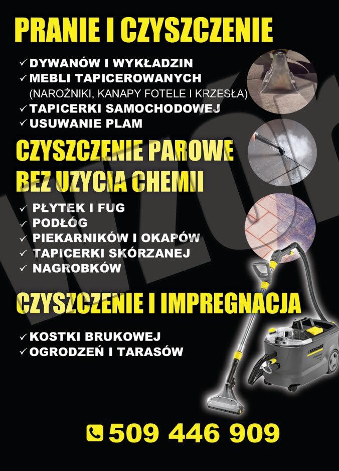 Grafika reklamowa prezentująca usługi prania i czyszczenia dywanów, mebli tapicerowanych, tapicerki samochodowej, czyszczenia parowego bez użycia chemii płytek, podłóg, piekarników, tapicerki...