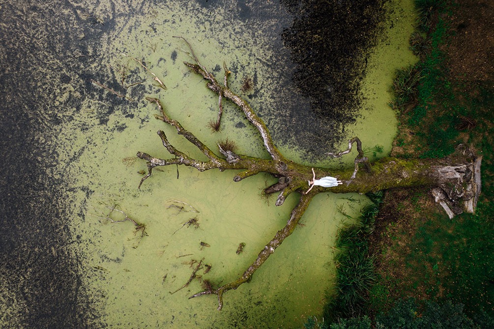 Kobieta w białej sukience leży na spróchniałym drzewie w mulistym stawie, widok z lotu ptaka, ciemne wody i zieleń, artystyczne ujęcie.
