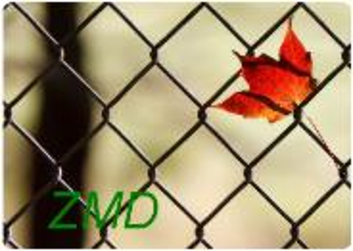 ZMD Zakład Metalowo-Drzewny - Siatka ogrodzeniowa Gorzyce