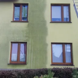 Fragment elewacji budynku z widocznym efektem czyszczenia, gdzie część ściany jest umyta, a część pokryta zielonym nalotem, z drabina oparta o ścianę i zielenią w tle.