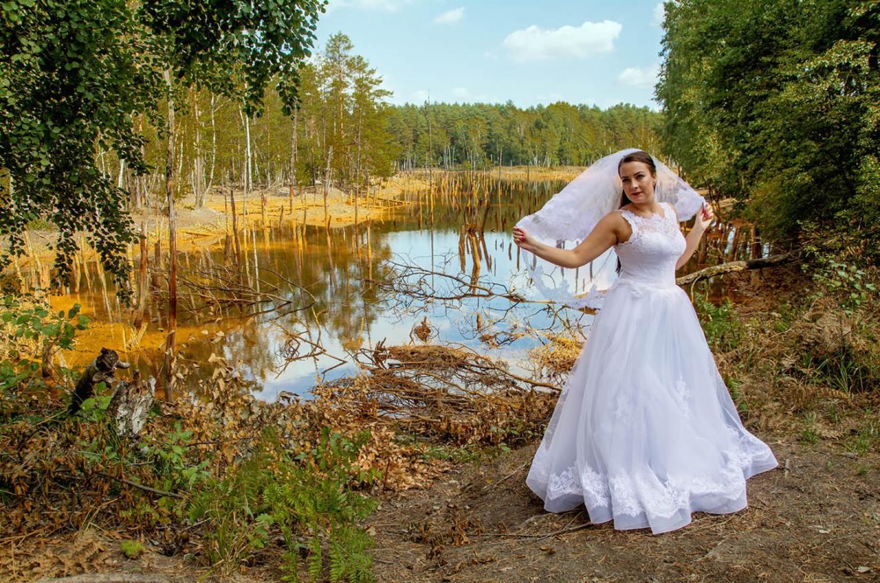 Panna młoda w białej sukni i welonie pozuje na tle jeziora z powalonymi drzewami i lasem w tle.