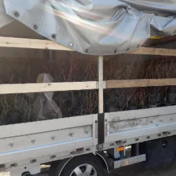 Wnętrze skrzyni ładunkowej busa wypełnione doniczkami z sadzonkami krzewów, zabezpieczone plandeką.