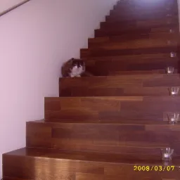 Ułożone panele na schodach w Będzinie z dekoracyjnymi świecznikami i siedzącym kotem.