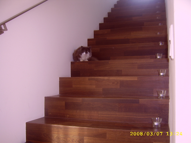 Ułożone panele na schodach w Będzinie z dekoracyjnymi świecznikami i siedzącym kotem.