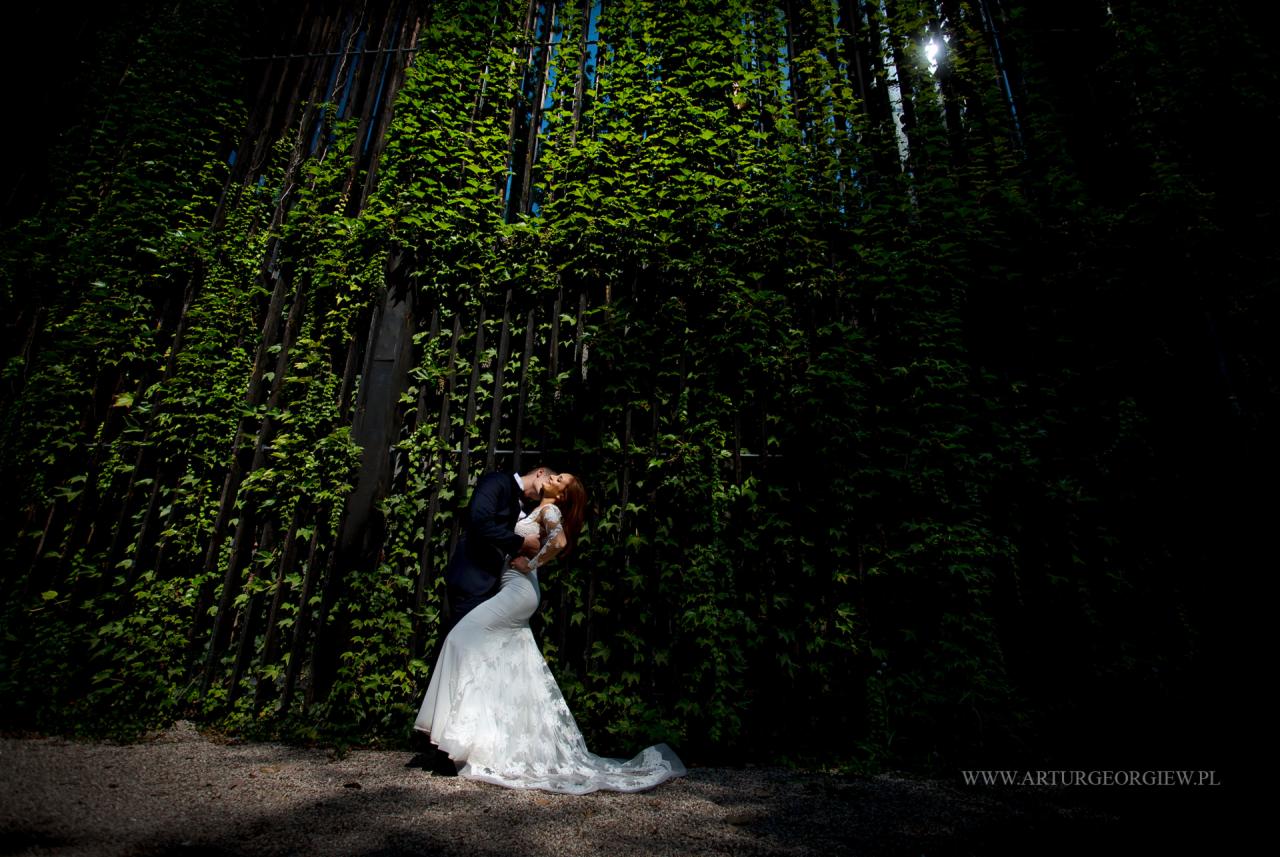 Para młoda w objęciach na tle ściany porośniętej bluszczem, on w granatowym garniturze, ona w białej koronkowej sukni ślubnej z długim trenem, oświetleni promieniami słońca.