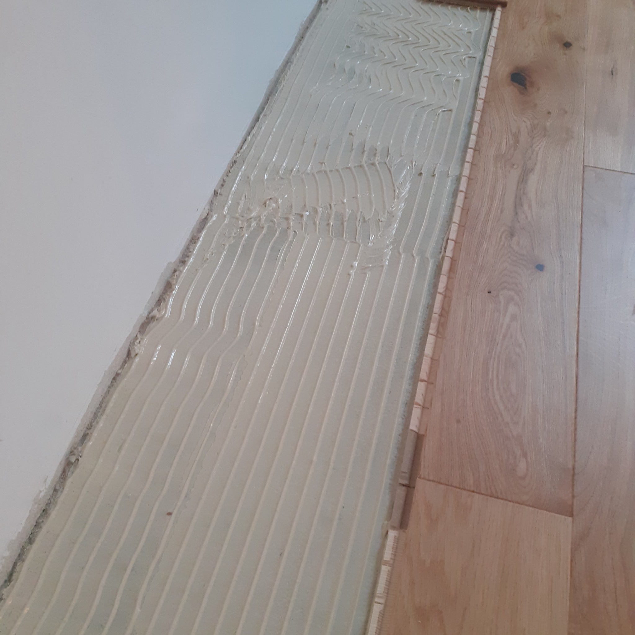 Podłoże przygotowane klejem pod panele, widoczne fragmenty ułożonych paneli podłogowych z naturalnego drewna.