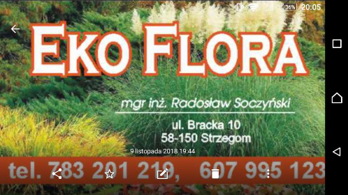 EkoFlora - Projektowanie ogrodów Strzegom