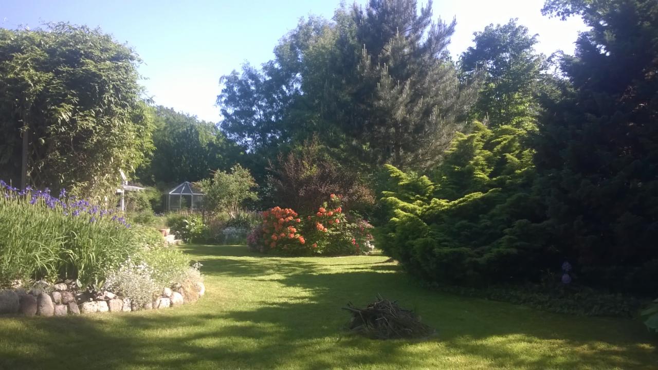 Rozległy, zadbany ogród z trawnikiem, rabatami kwiatowymi, kamiennym obrzeżem, szklarnią w tle i stosem gałęzi na trawie.