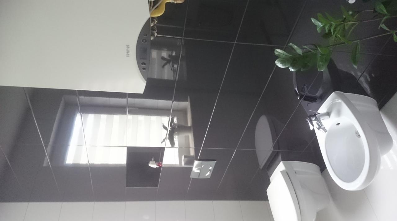 Czarne, błyszczące płytki na ścianie łazienki, z widocznym fragmentem toalety, bidetu i rośliny doniczkowej odbijającej się w powierzchni płytek.