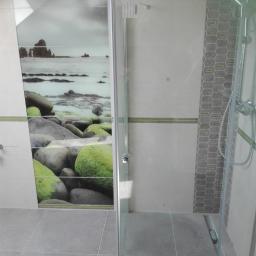 Glazurnik Sochaczew 2