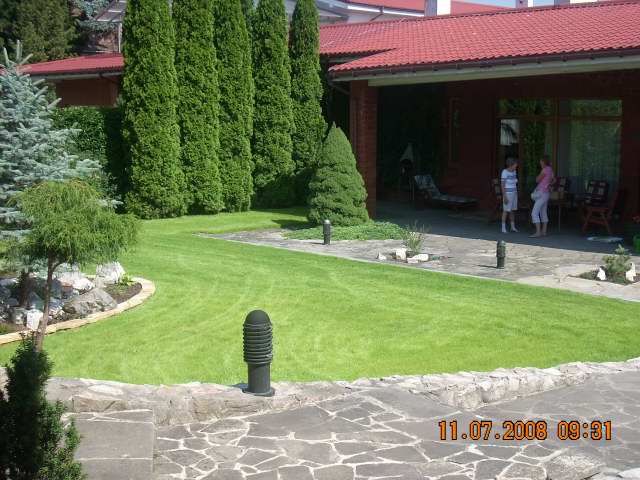 Zadbany trawnik z nasadzeniami drzew i krzewów ozdobnych, widok na taras domu z dwoma osobami w tle.