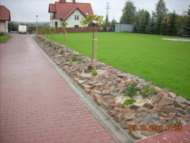 Krawężnik z kamieni oddzielający trawnik od ścieżki z kostki brukowej, z nasadzeniami małych drzewek i krzewów ozdobnych.