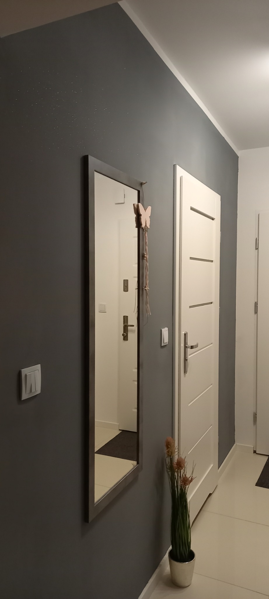 Szara ściana z efektem brokatu, lustro w ciemnej ramie z dekoracją motyla, białe drzwi wewnętrzne z poziomymi frezami i doniczka z trawą ozdobną w przedpokoju.