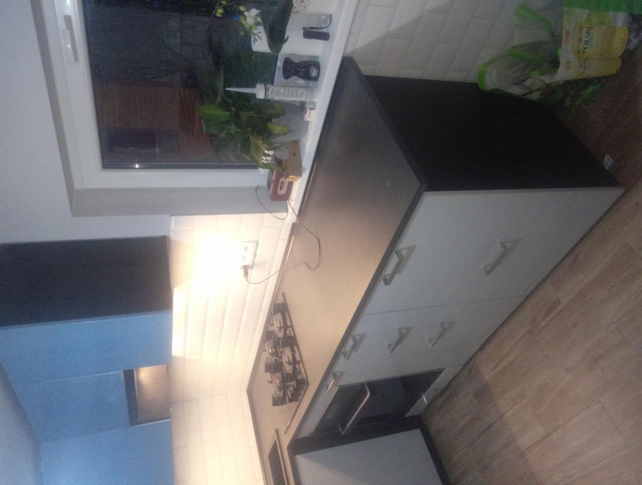 Nowoczesna kuchnia z białymi szafkami i czarnym blatem, widok na płytę grzewczą i okno z roślinami, oświetlenie punktowe.