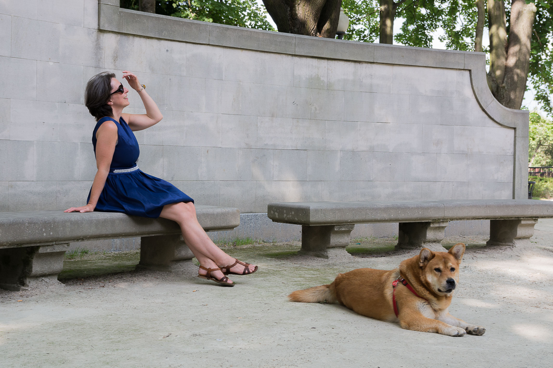 Kobieta w niebieskiej sukience i okularach przeciwsłonecznych siedzi na kamiennej ławce w parku, obok leży pies rasy Shiba Inu w czerwonej uprzęży.