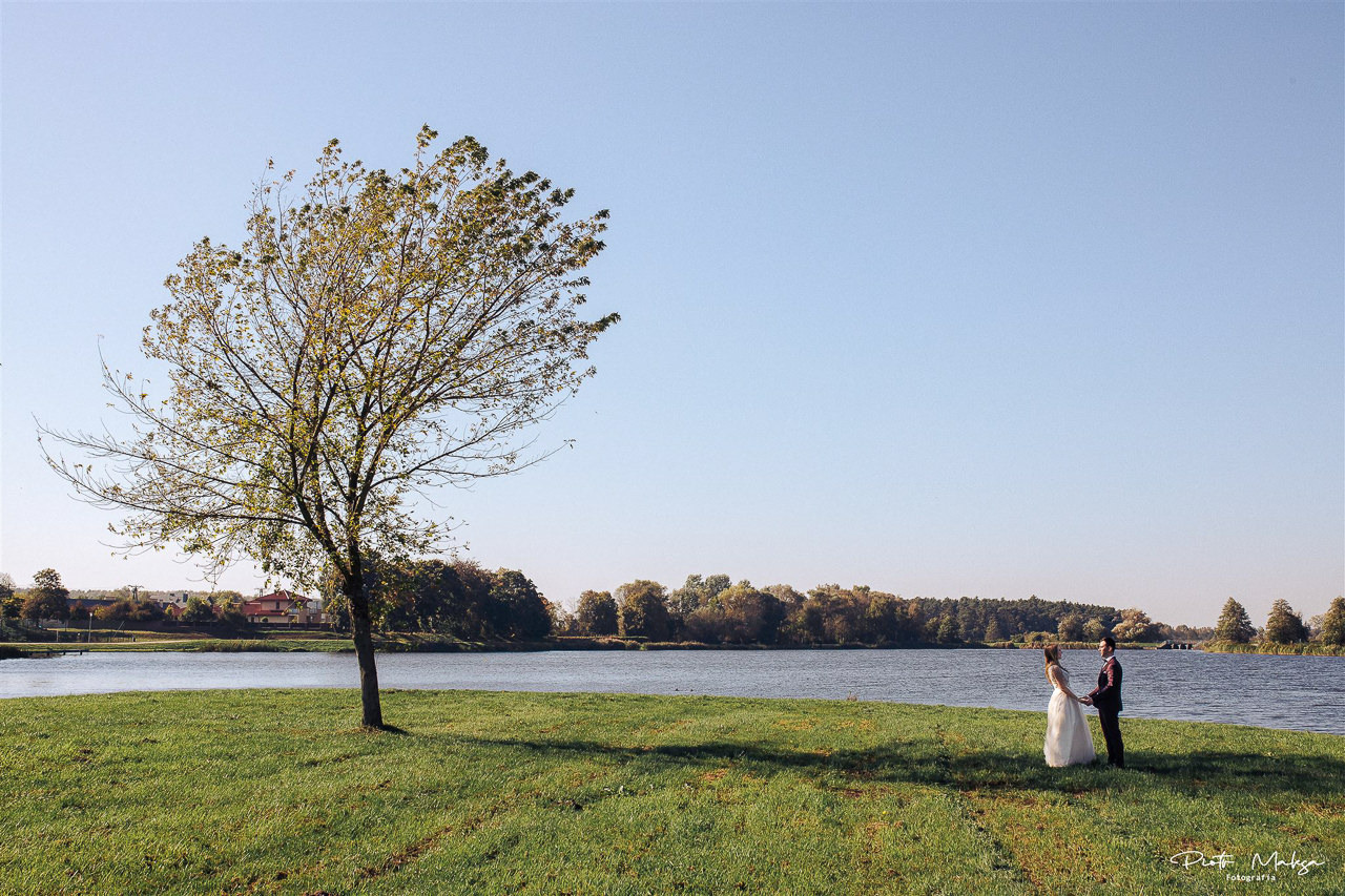 Para młoda trzymająca się za ręce na zielonej łące nad jeziorem, w tle drzewa i błękitne niebo, z lewej strony samotne drzewo z żółknącymi liśćmi.
