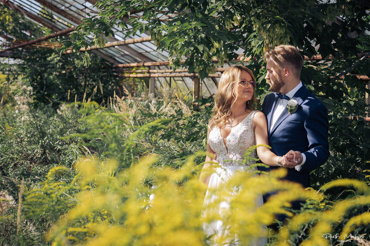 Para młoda, panna młoda w okularach, w rustykalnym ogrodzie z widoczną szklarnią w tle, trzymają się za ręce, patrząc na siebie.