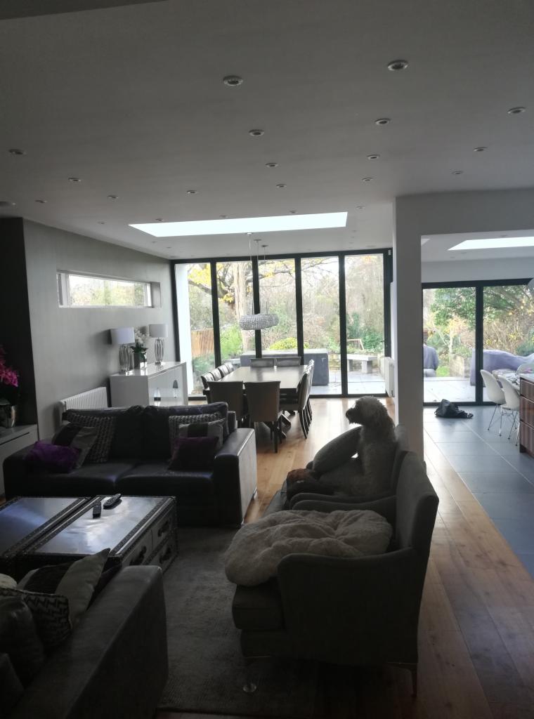 Przestronny salon z dużymi oknami i przesuwnymi drzwiami balkonowymi, drewniana podłoga przechodzi w szare płytki, szara sofa z psem, widok na ogród.