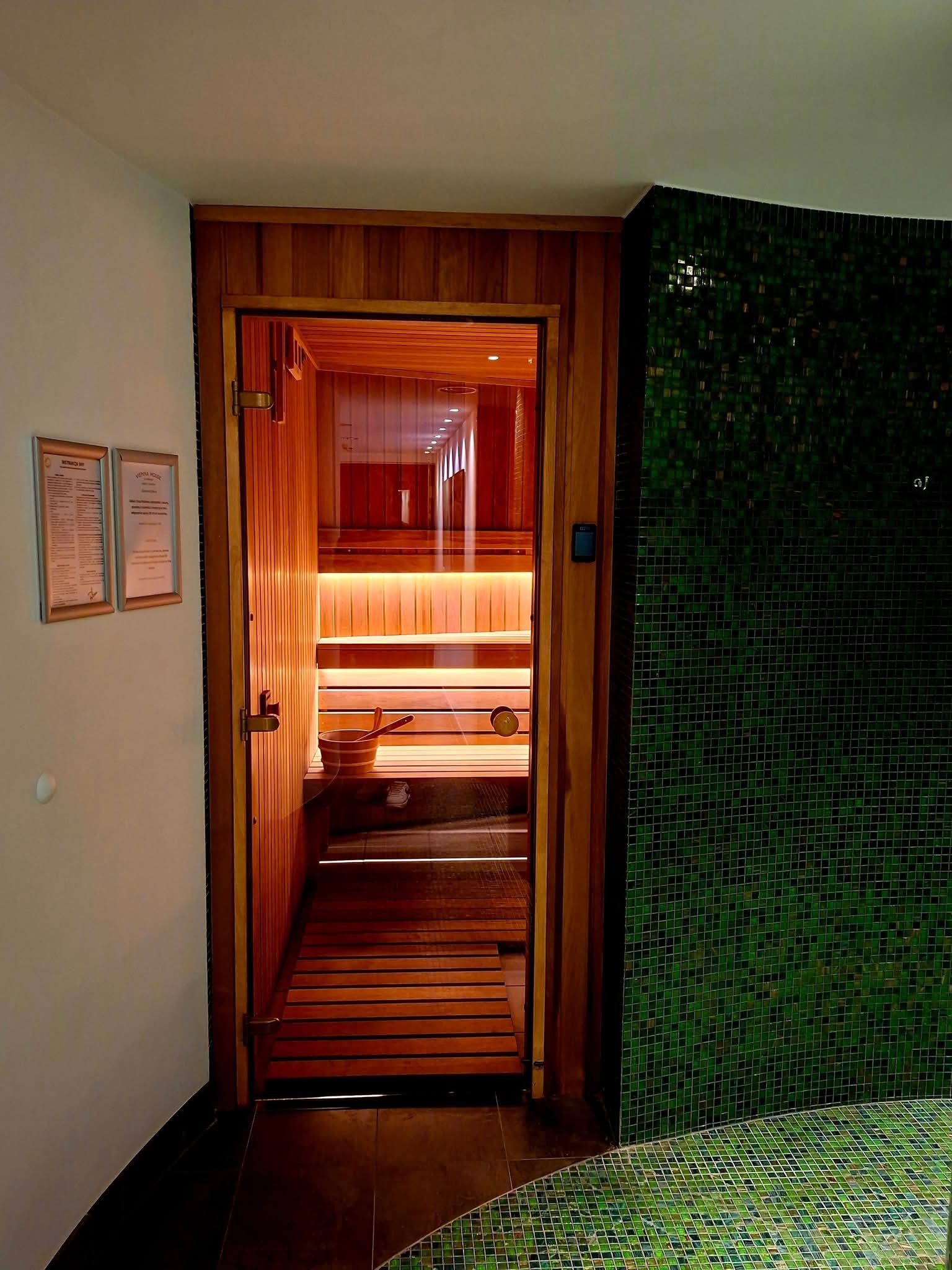 Nowoczesna sauna z drewnianym wykończeniem i szklanymi drzwiami, oświetlona subtelnym światłem, z zieloną mozaiką na ścianie obok.