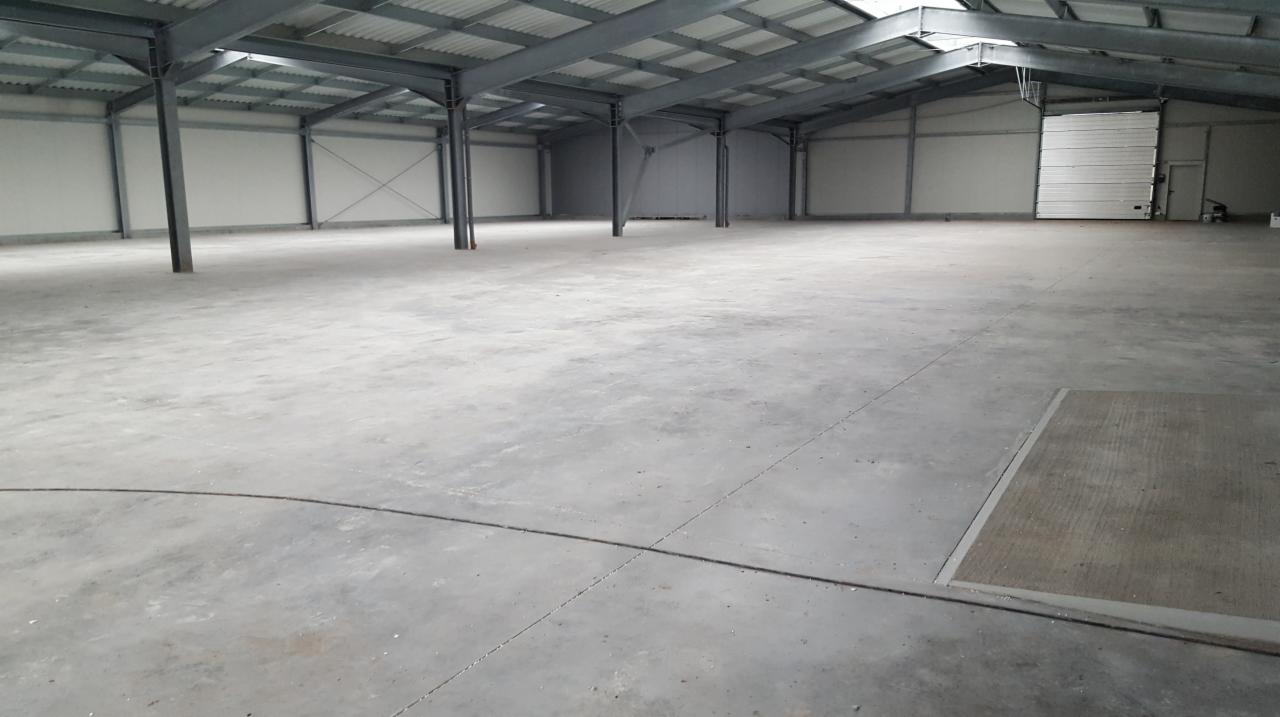 Wnętrze hali magazynowej z betonową posadzką, stalową konstrukcją dachu i białymi ścianami z płyt warstwowych, widoczne drzwi garażowe.