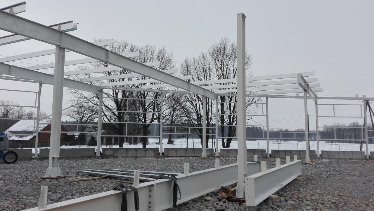 Konstrukcja stalowa hali w trakcie montażu, widoczne elementy nośne i słupy, w tle drzewa i częściowo ośnieżony teren.