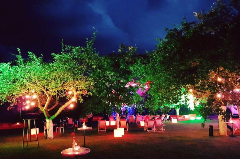 Event firmowy - aranżacja winnicy