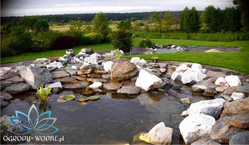 Oczko wodne z kamienną kaskadą i roślinami wodnymi w ogrodzie, z drugim, mniejszym zbiornikiem w tle.