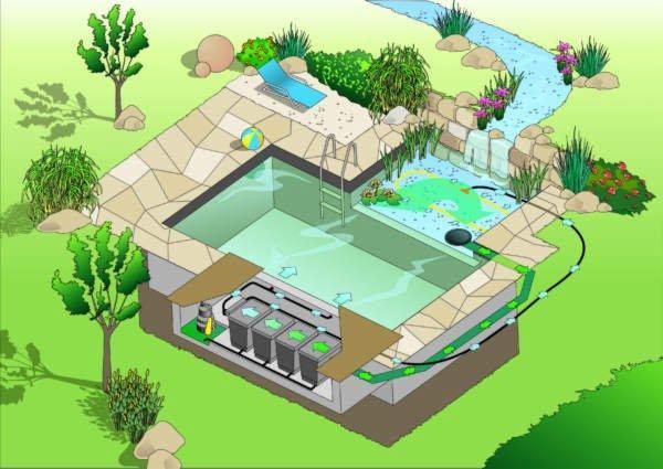 Schematyczny rysunek przekroju basenu z systemem filtracji, kaskadą wodną, leżakiem i piłką na obrzeżu, otoczonego zielenią.
