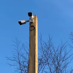 Dwie kamery przemysłowe zamontowane na drewnianym słupie, widoczne na tle błękitnego nieba i gałęzi drzew bez liści.