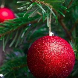 N.O-wska Fotografia - Błyszcząca, czerwona bombka zawieszona na zielonej choince z delikatnymi lampkami w tle.