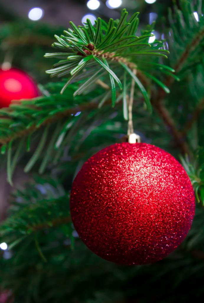 Błyszcząca, czerwona bombka zawieszona na zielonej choince z delikatnymi lampkami w tle.