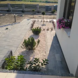 Ułożona ścieżka z szarych płyt chodnikowych prowadząca przez ogród wysypany białym grysem, z niskimi krzewami i młodymi drzewkami, zakończona oknem z kwitnącymi petuniami w doniczce.