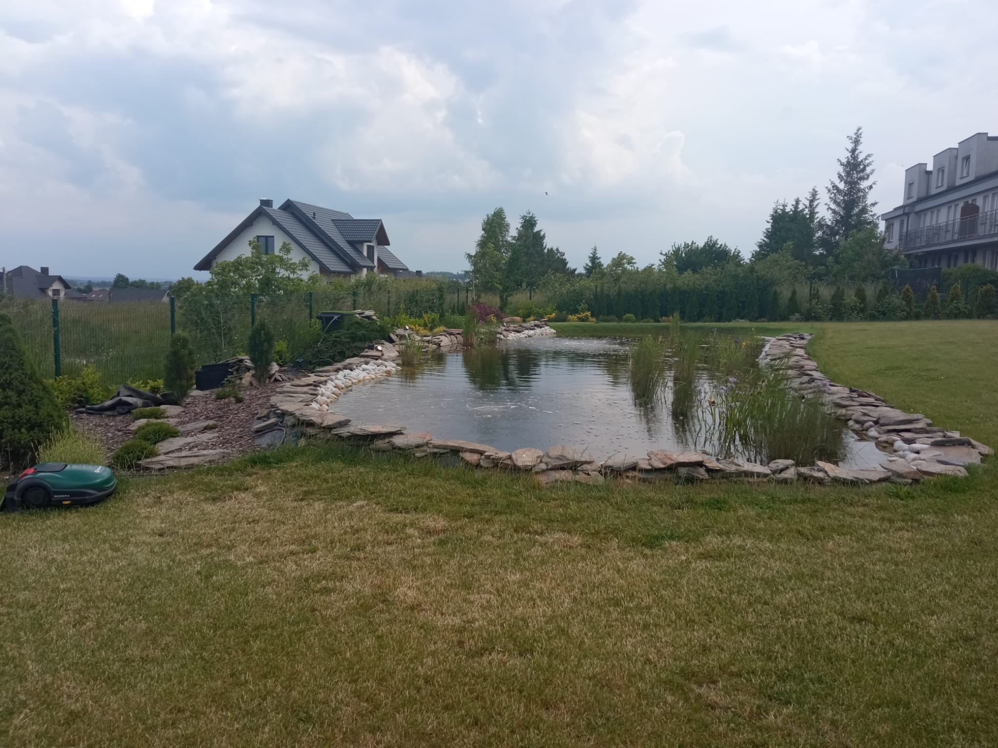 Oczko wodne otoczone kamieniami w zadbanym ogrodzie, z robotem koszącym trawę na pierwszym planie i domami w tle.