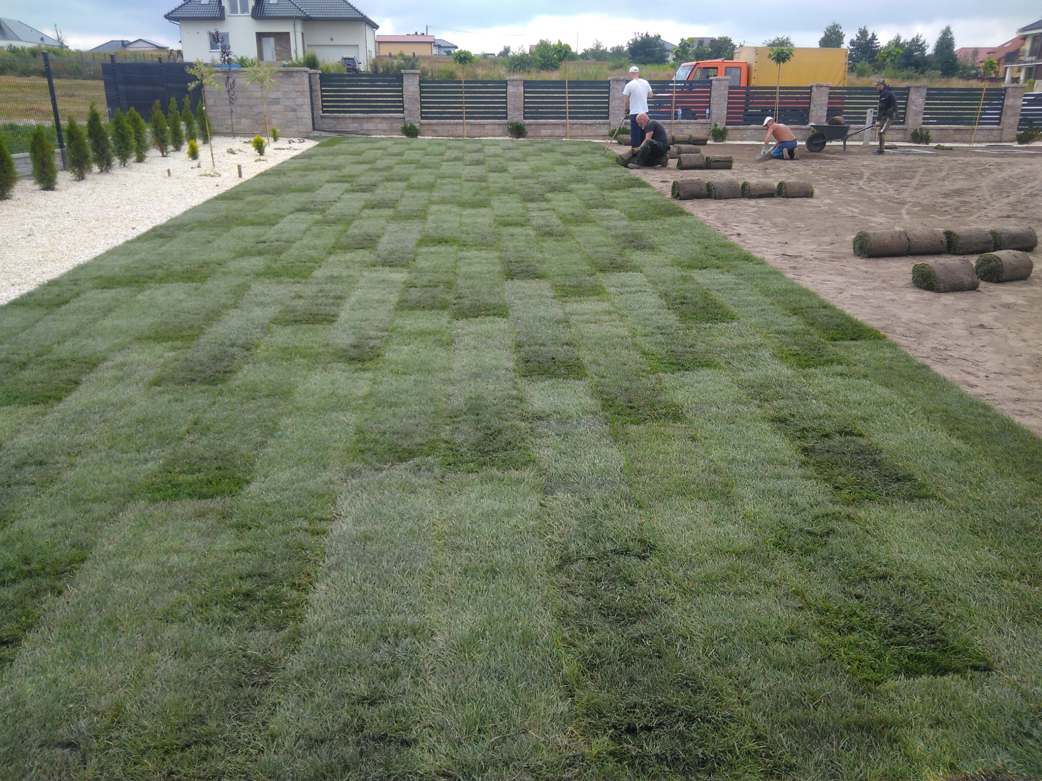 Układanie trawy z rolki na posesji z ogrodzeniem panelowym, widoczni pracownicy podczas montażu, częściowo ułożona trawa tworzy wzór szachownicy, w tle dom jednorodzinny.