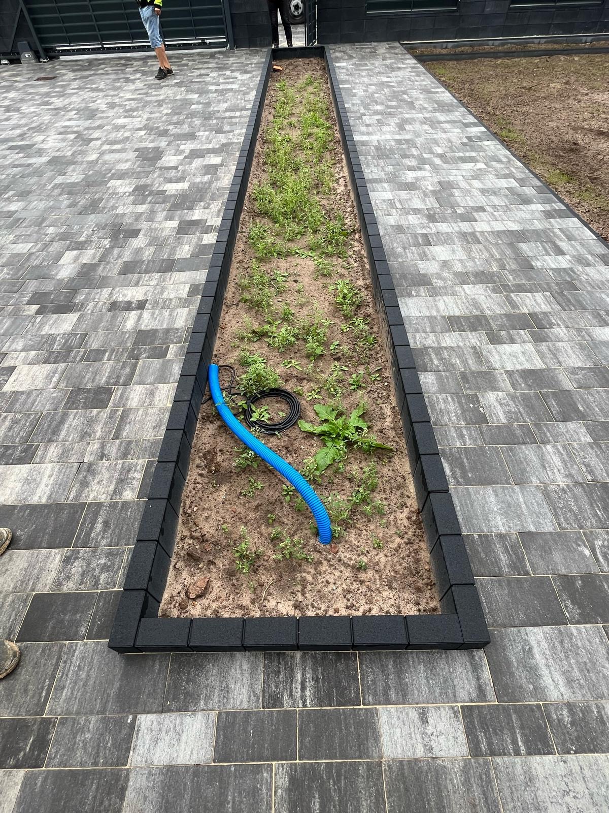 Ścieżka z szarej kostki brukowej z czarnym obramowaniem rabaty, w której rosną młode rośliny i leży niebieski karbowany przewód.