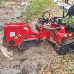 Czerwona frezarka do pni drzew na gąsienicach w trakcie pracy, usuwająca pień po ściętym drzewie, z widocznymi trocinami i opadłymi liśćmi w tle.