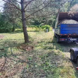 Zrębkowanie gałęzi i drzewa za pomocą rębaka Euro Line 225; zrębki drzewne wpadają do niebieskiej ciężarówki na tle zalesionego terenu.