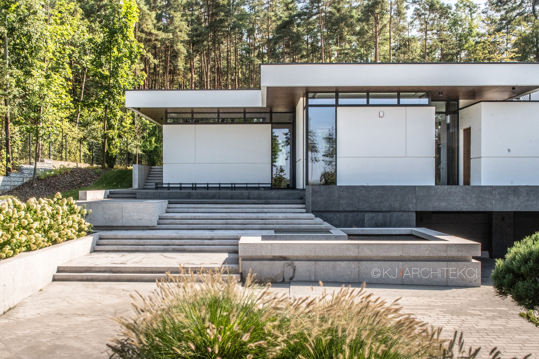 Nowoczesny budynek z płaskim dachem, dużymi oknami i schodami prowadzącymi do wejścia, otoczony zielenią i starannie zaprojektowanym ogrodem z ozdobnymi trawami i krzewami.