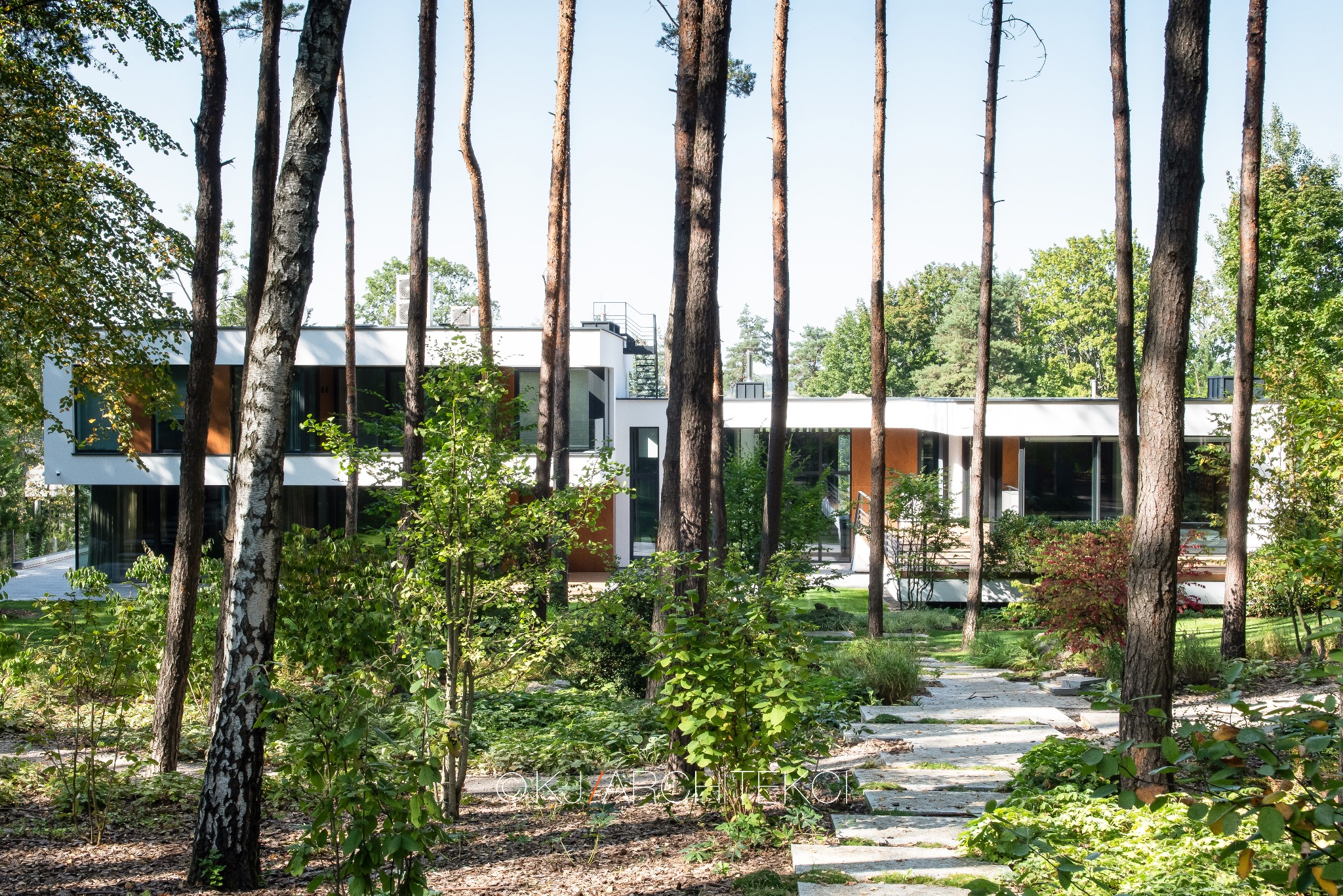 Nowoczesny dom jednorodzinny w Krakowie, z płaskim dachem i elementami elewacji w odcieniach brązu, otoczony lasem; ścieżka z płyt prowadzi przez zarośla.