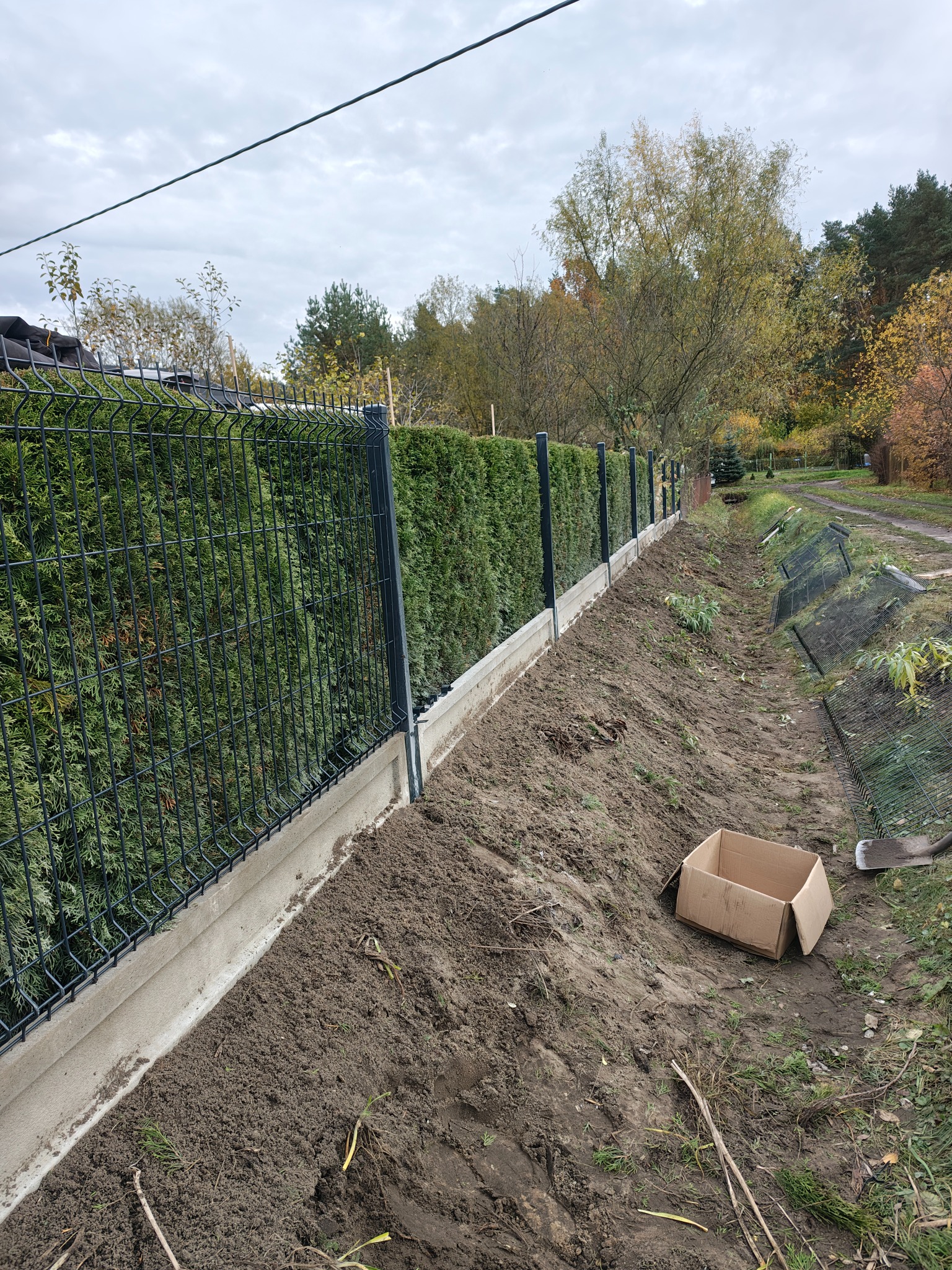 Nowoczesne ogrodzenie panelowe z podmurówką betonową, oddzielające posesję od zieleni. Widoczne ślady prac ziemnych i karton, sugerujące świeży montaż.