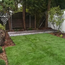 Ułożony trawnik z rolki, obrzeża z kory, przycięte drzewa i krzewy, drewniana pergola w tle, biały mur.