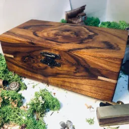 Drewniana szkatułka z ozdobnym zapięciem, wykonana z egzotycznego drewna o wyraźnym usłojeniu, prezentowana na tle mchu i wi&oacute;r&oacute;w, obok strug do drewna.